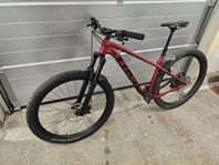 Trek Roscoe 9 - 2024 storlek L