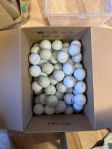 golfbollar titleist pro v1/x 70st