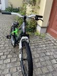 Crescent Junior Mountain Bike