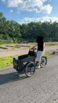 cargobike delight 