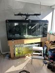 650 liter saltvattensakvarium 