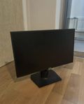 Monitor/Datorskärm - ASUS - 24.5 tum säljes