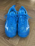 Innebandyskor Mizuno Wave Mirage 40,5