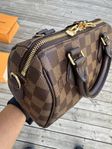 Louis Vuitton Speedy 20 Damier Ebene