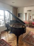 svart flygel C Bechstein 