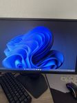 BenQ XL254K 24,5 (240hz)