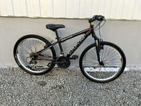 MTB FOCUS Raven Rookie 24 tum 