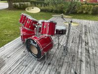 Pearl Export trumset