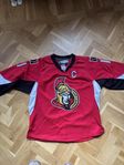 Ottawa Senators Matchtröja Alfredsson