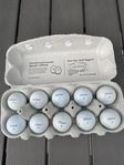 Fina Titleist PRO v1 golfbollar