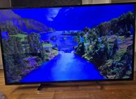 Panasonic TX-49ES513E Full HD LED TV