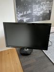 Monitor