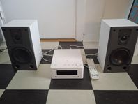 denon + 2 dali Spector 1