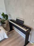 piano Casio CDP-S100