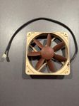 Noctua fläkt 120mm