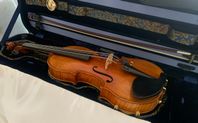 Fiol Violin