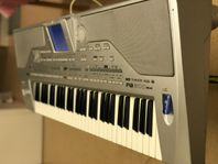 KORG Pa800 ex