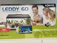 Leddy 60 - Perfekt akvarium för familjen