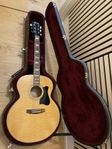 Jumbomodell - Ibanez VJ350NT med Fishman