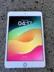 iPad Mini 5 gen (256 GB)