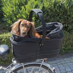 Ny Cykelkorg för hund och katt