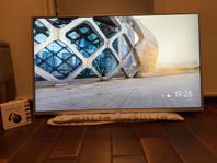 Sony Bravia 42” Smart  TV & Google Chromecast