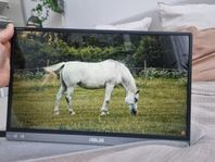 Asus ZenScreen MB16AP portabel bildskärm