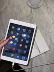 iPad mini