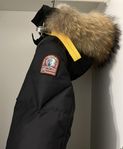 parajumpers long bear