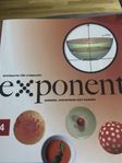 Matematik 4 exponent