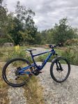 GT Mountainbike Heldämpad