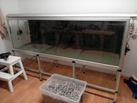 Akvarium 580 liter, komplett med ställning