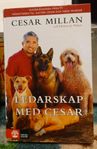 Ledarskap med Ceasar 