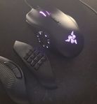 Razer Naga Trinity Mus 