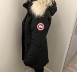 Canada Goose 