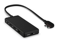 10 Port Dual Display USB-C Hub för Mac