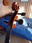 Cello Superior Student Pro 4/4 2020