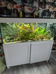 akvarium Juvel 240