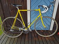 Basso Racer 