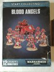 Warhammer 40k Blood Angels kit.