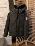 canada goose maintland niles