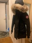 Canada goose jacka & Outdoor survival Canada jacka