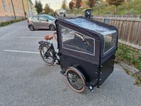 EVOBIKE Cargo pro el lådcykel