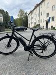 Elcykel Batavus zonar ego Dam 53