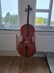 GEWA Allegro VC1 1/2 Cello