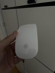 magic mouse