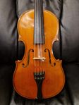 Violin, Alois Sandner, Tyskland