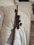 remington 222