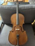 Stentor SR1108Cello Student II 1/2