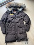 Parajumpers Long bear